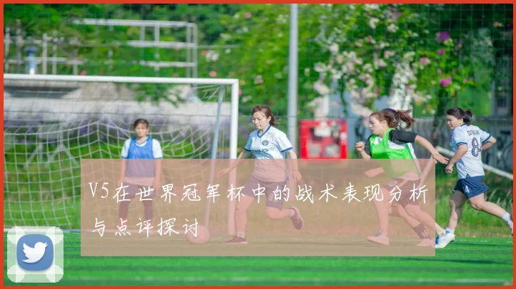 V5在世界冠军杯中的战术表现分析与点评探讨